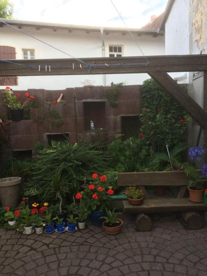 Ferienwohnung Otterbau Belgern-Schildau Exterior foto