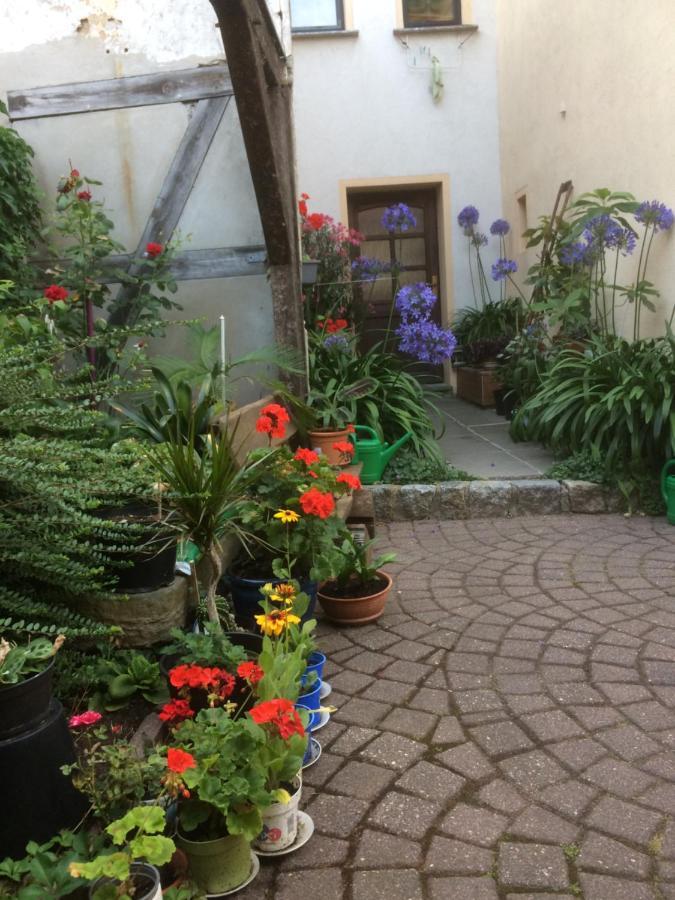 Ferienwohnung Otterbau Belgern-Schildau Exterior foto