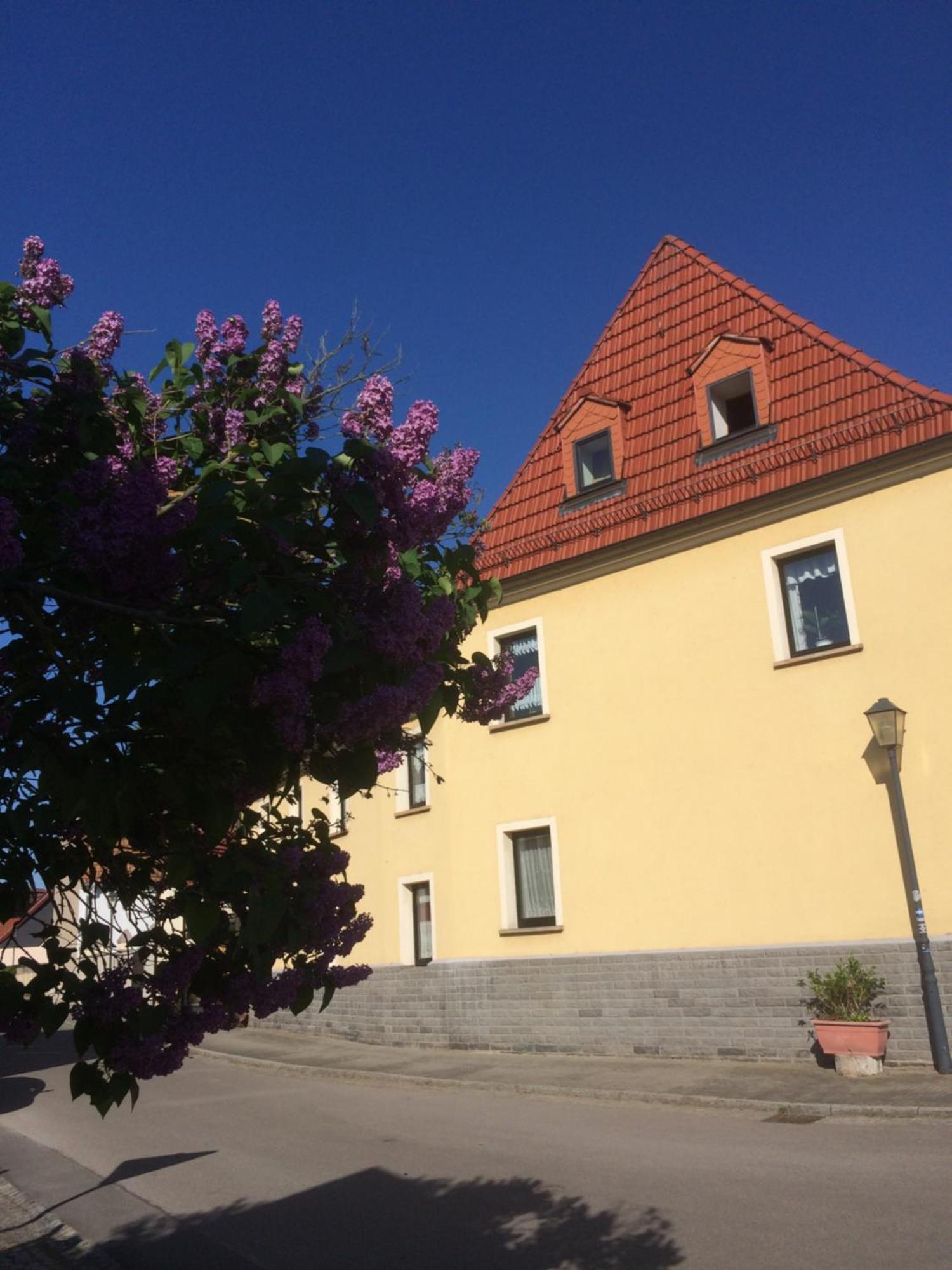 Ferienwohnung Otterbau Belgern-Schildau Exterior foto
